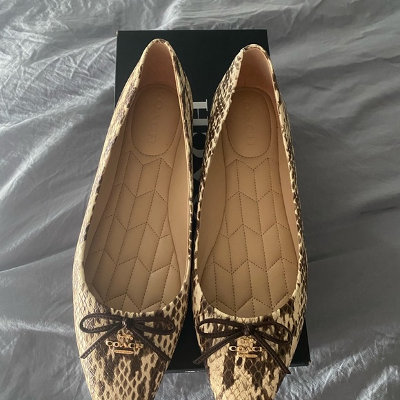 Coach flats - Picture 2 of 3